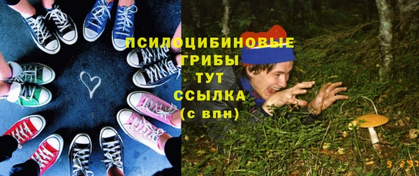 герыч Сатка