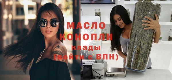сатива Горняк